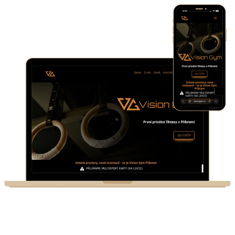Vision Gym